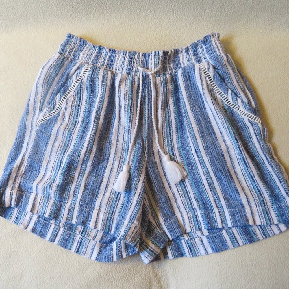 Briggs Blue Striped Shorts